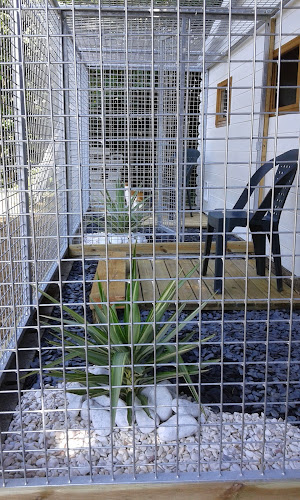 Utopia garde d’animaux 23