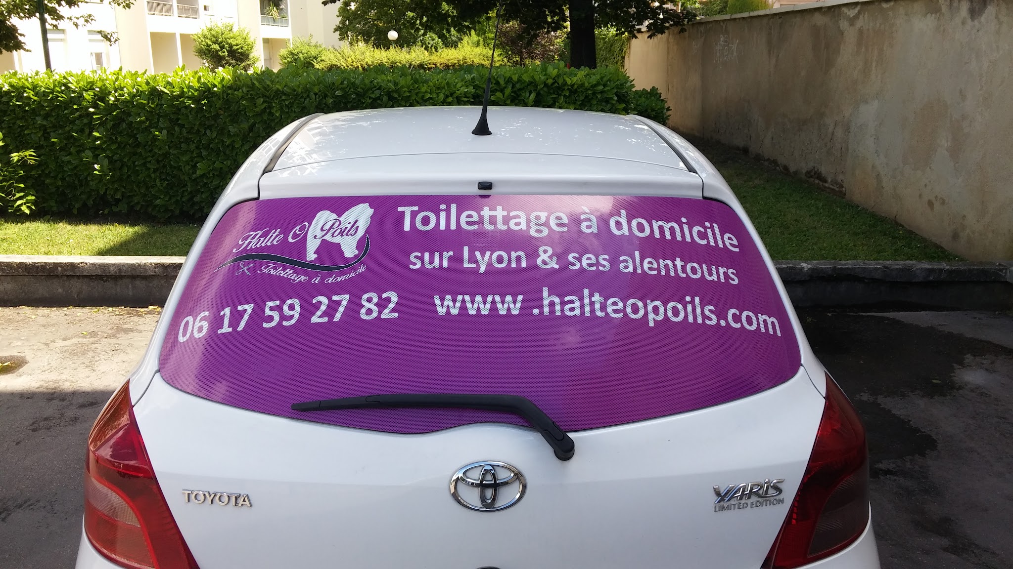 Toiletteur Anse - HalteOPoils — photo