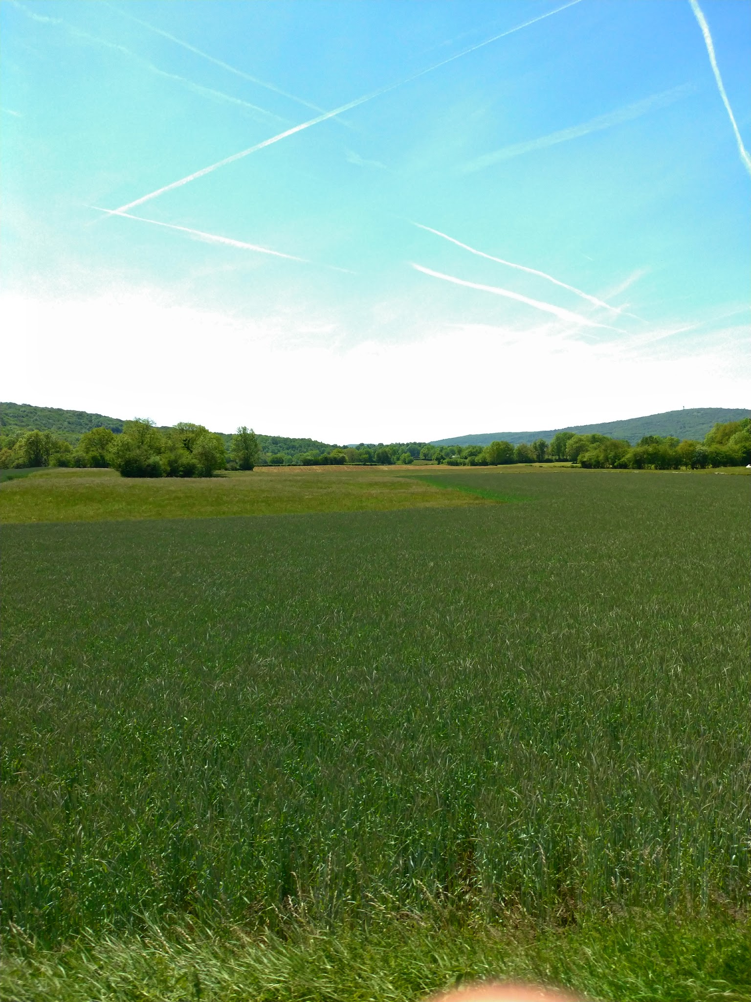 La Grange D'Hollybug — photo