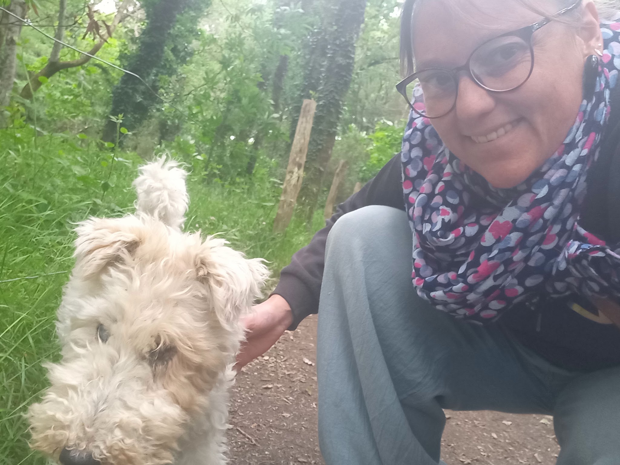 Pension canine familiale Croc la vie — photo