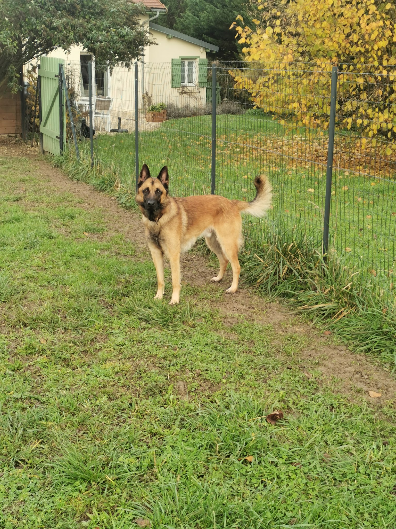 L Arche de Noé — photo