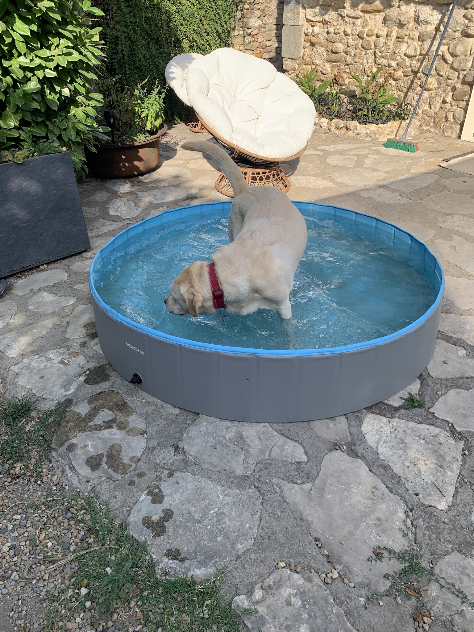 Esprit Canin &Co — photo
