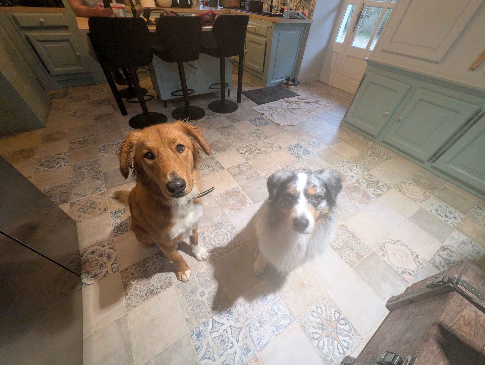 Esprit Canin &Co — photo