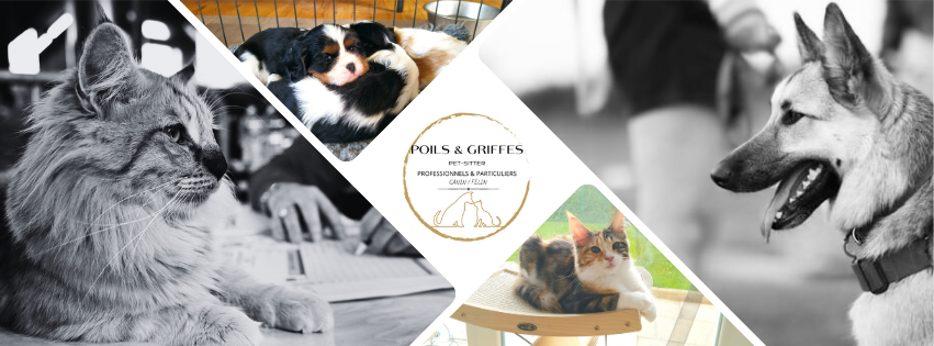 Poils & Griffes