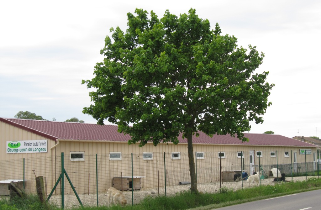 centre Canin du Longeau — photo