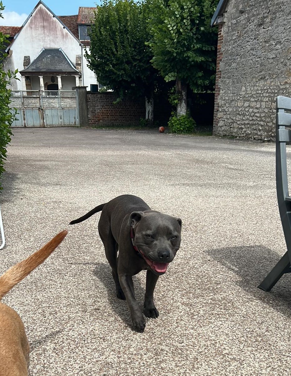 Pension Familiale Chez Fanny