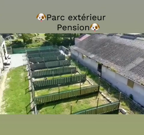 Le Royaume du Phoenix — photo