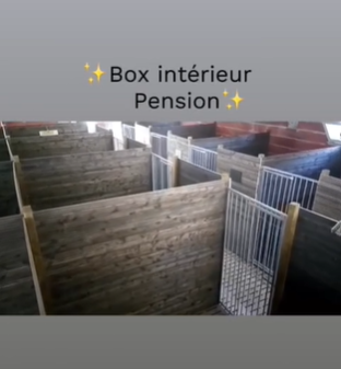 Le Royaume du Phoenix — photo