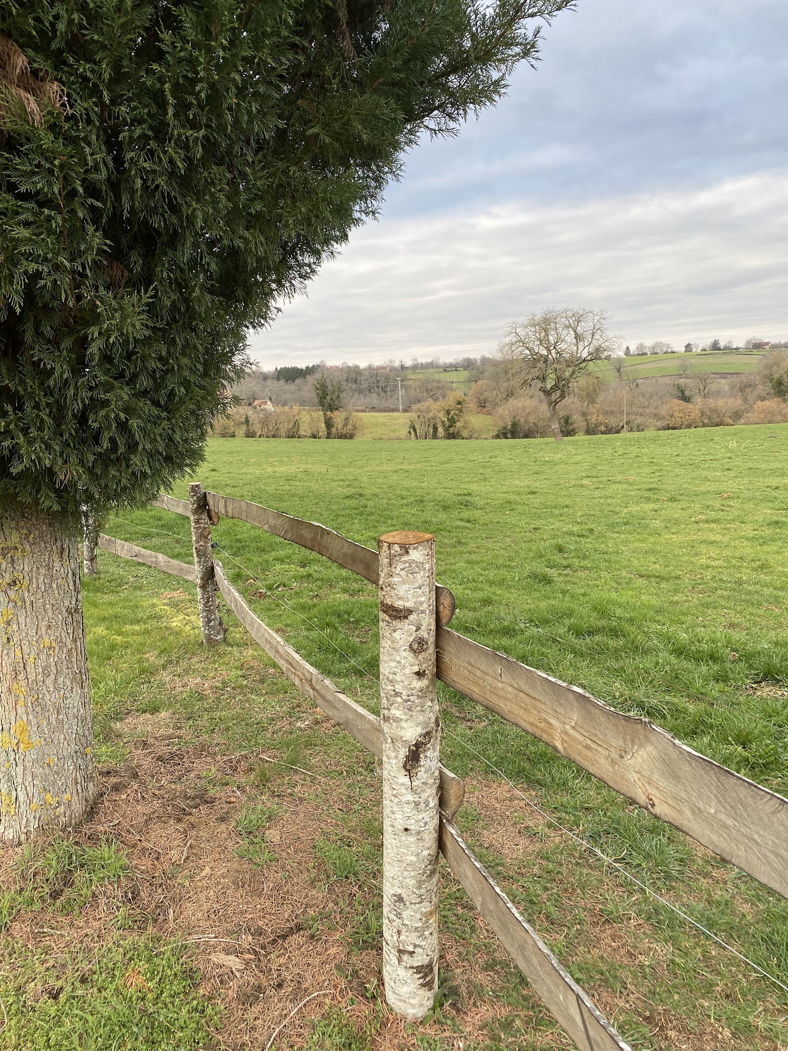Auberge des 4 pattes — photo
