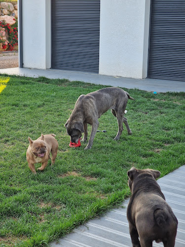 Partez Tranquille 65 by Nat : garde familiale d'animaux et éducateur Comportementaliste Canin