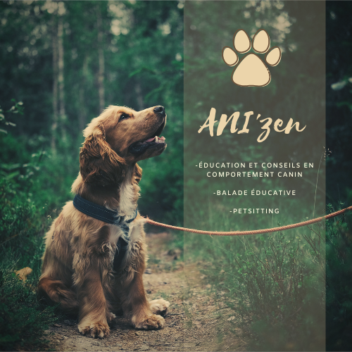 ANI'zen