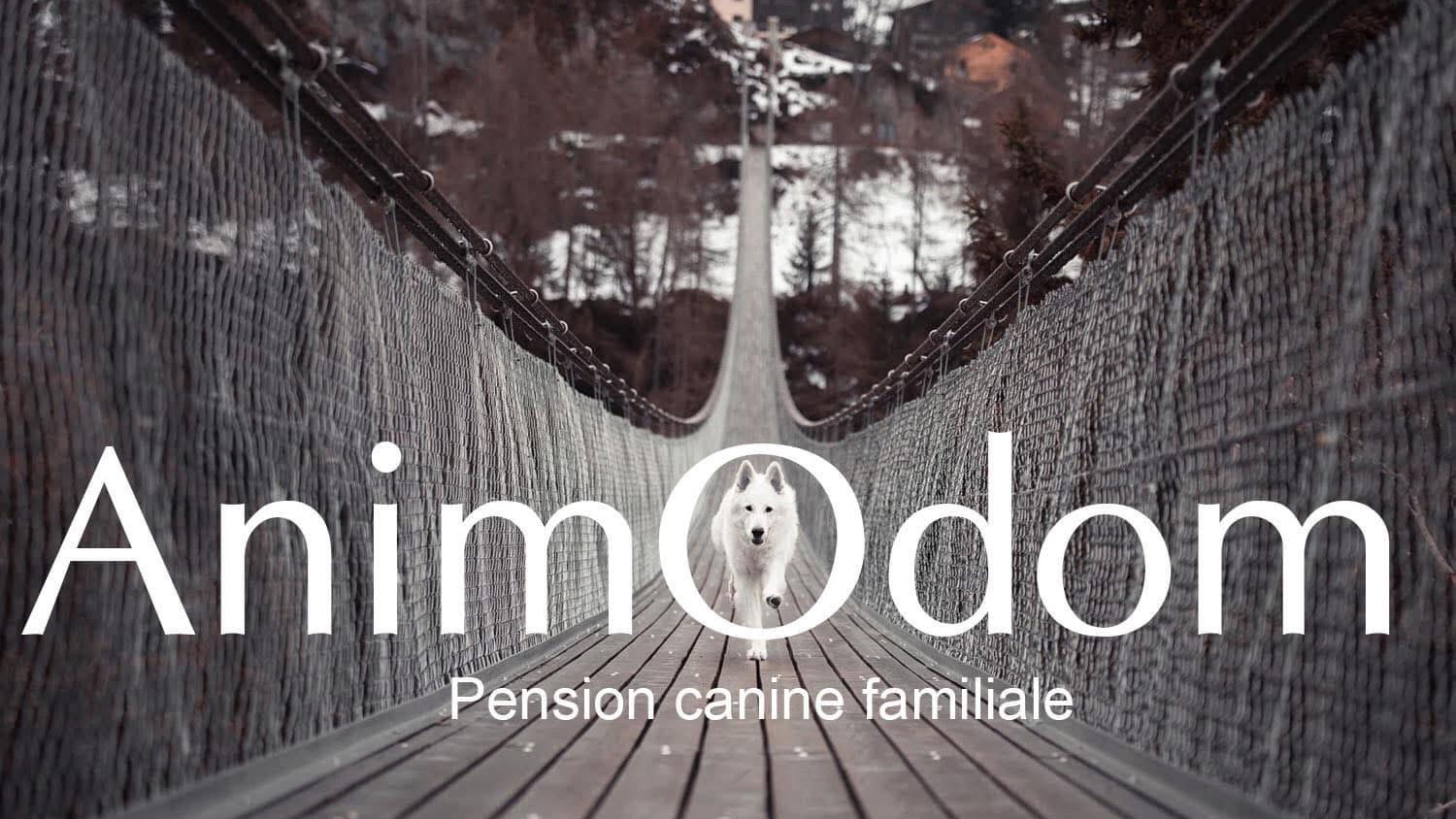 Animodom Services / Elevage des terres de Noé