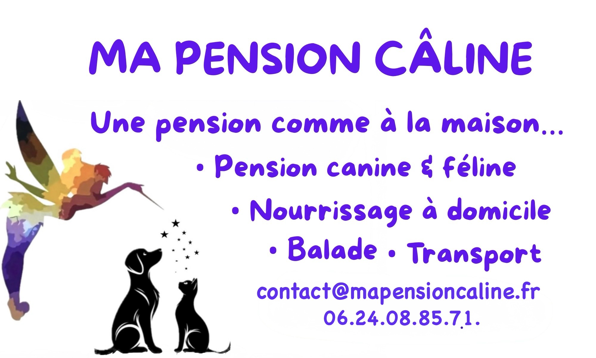 Ma Pension Câline — photo