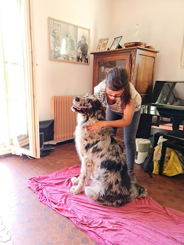 La Patte Tendre masseur canin pet-sitter Fleurs de Bach