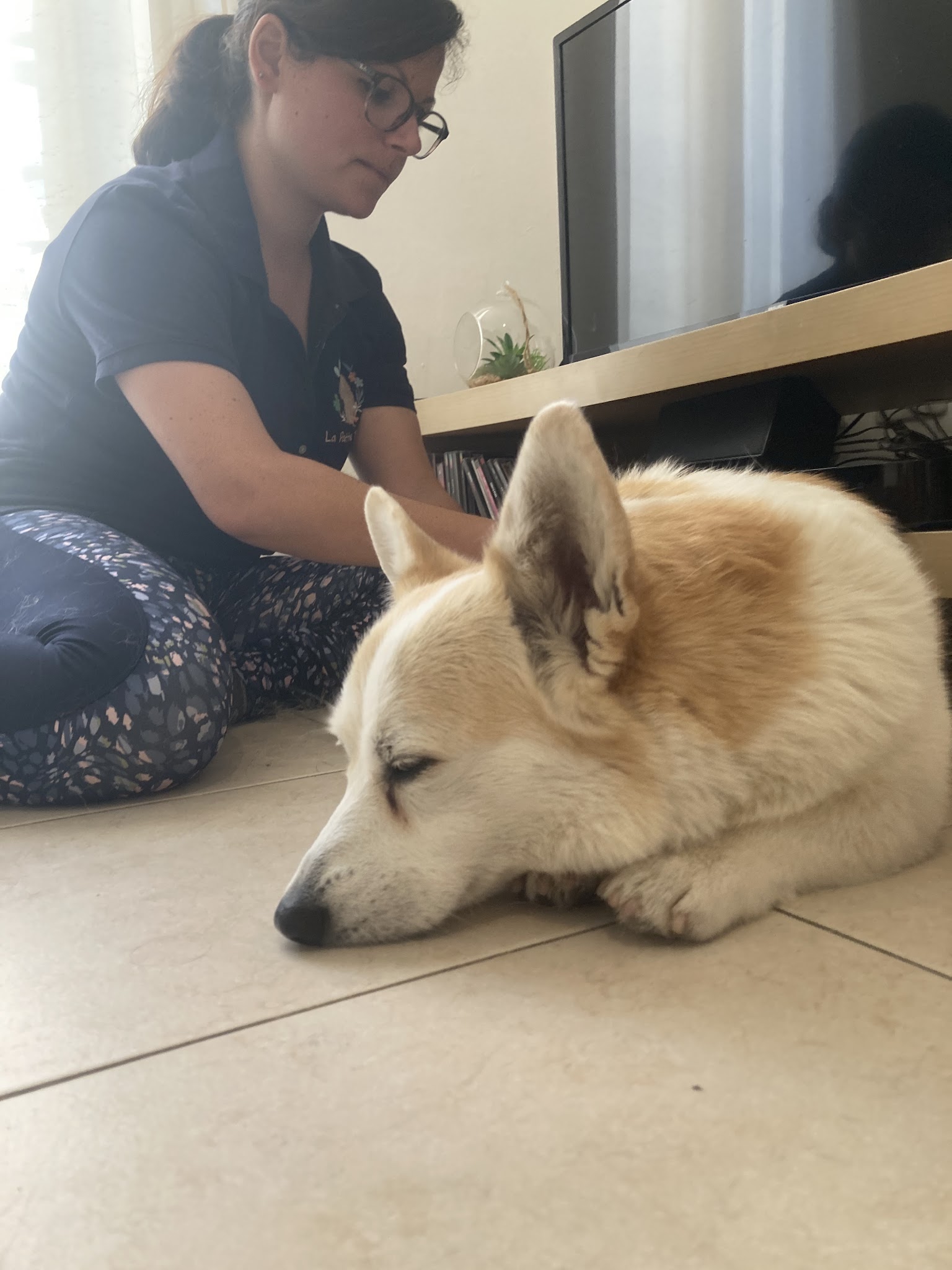 La Patte Tendre masseur canin pet-sitter Fleurs de Bach — photo