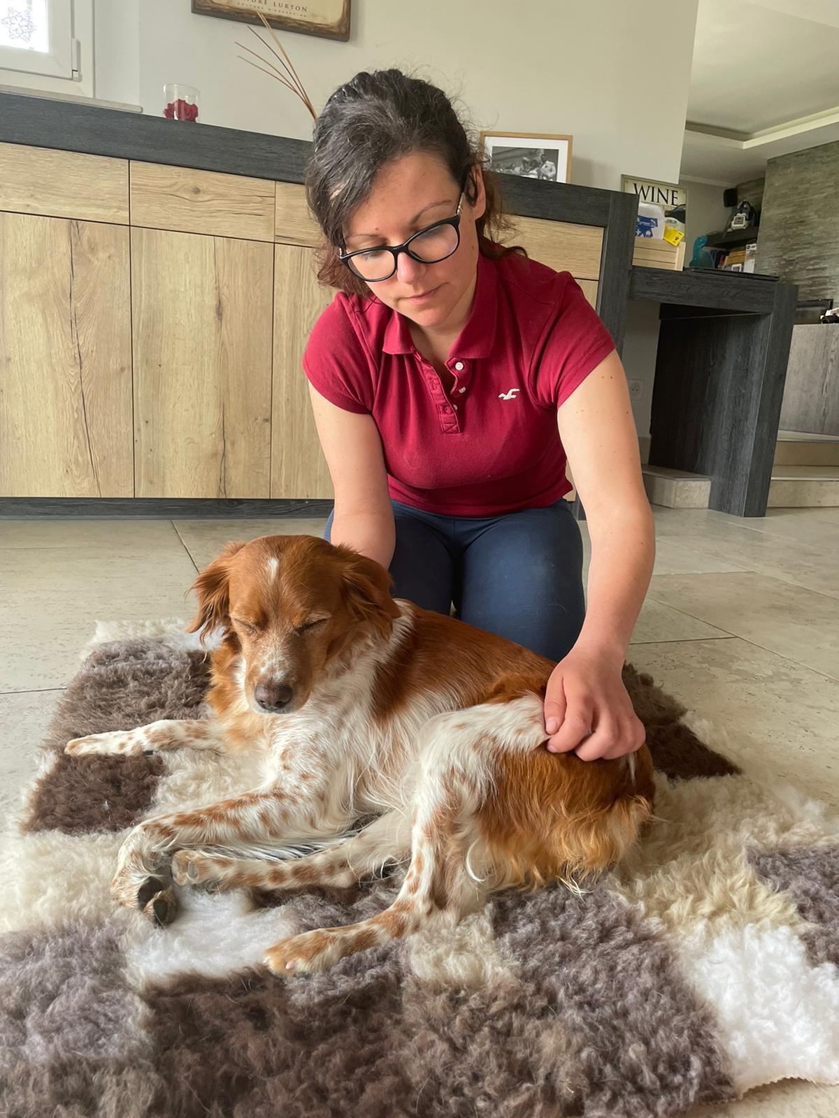 La Patte Tendre masseur canin pet-sitter Fleurs de Bach — photo