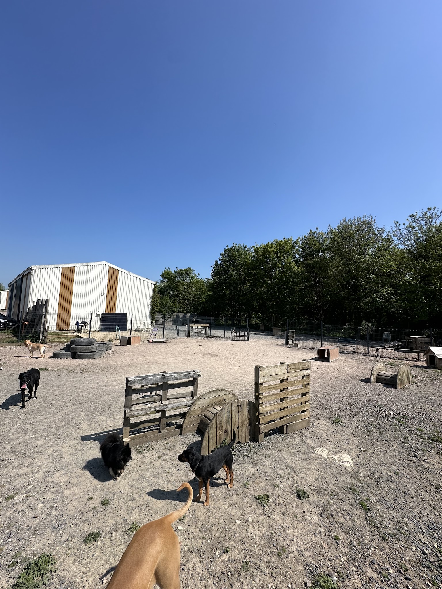 Copains Canins — photo