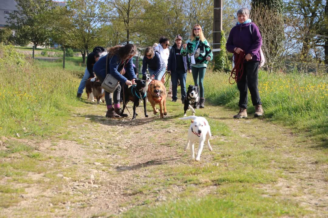 Cani’Skol Education, Pension & Loisirs Canins — photo