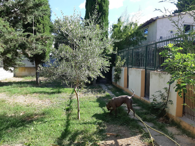 Pension canine et feline des corbieres
