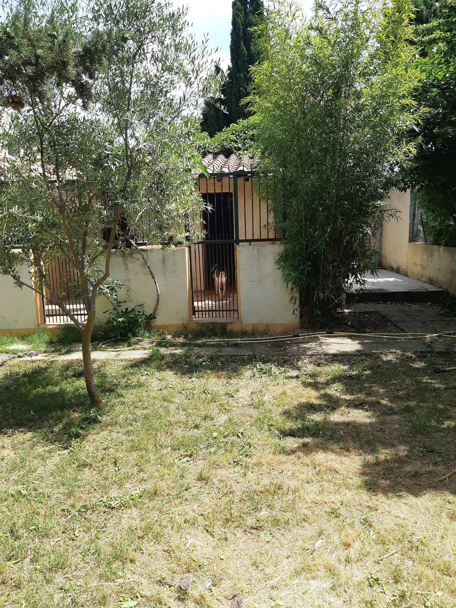 Pension canine et feline des corbieres — photo