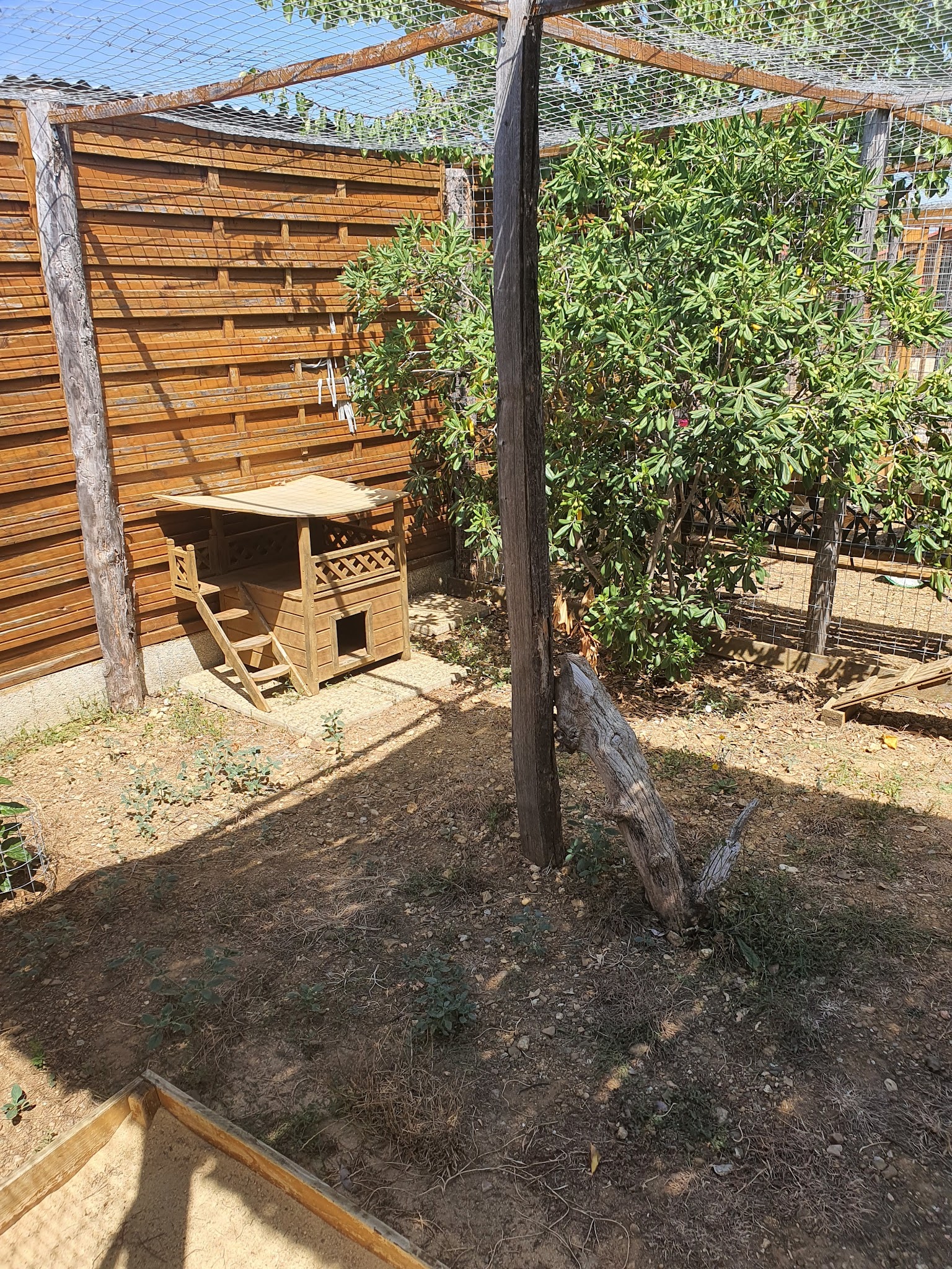Pension canine et feline des corbieres — photo