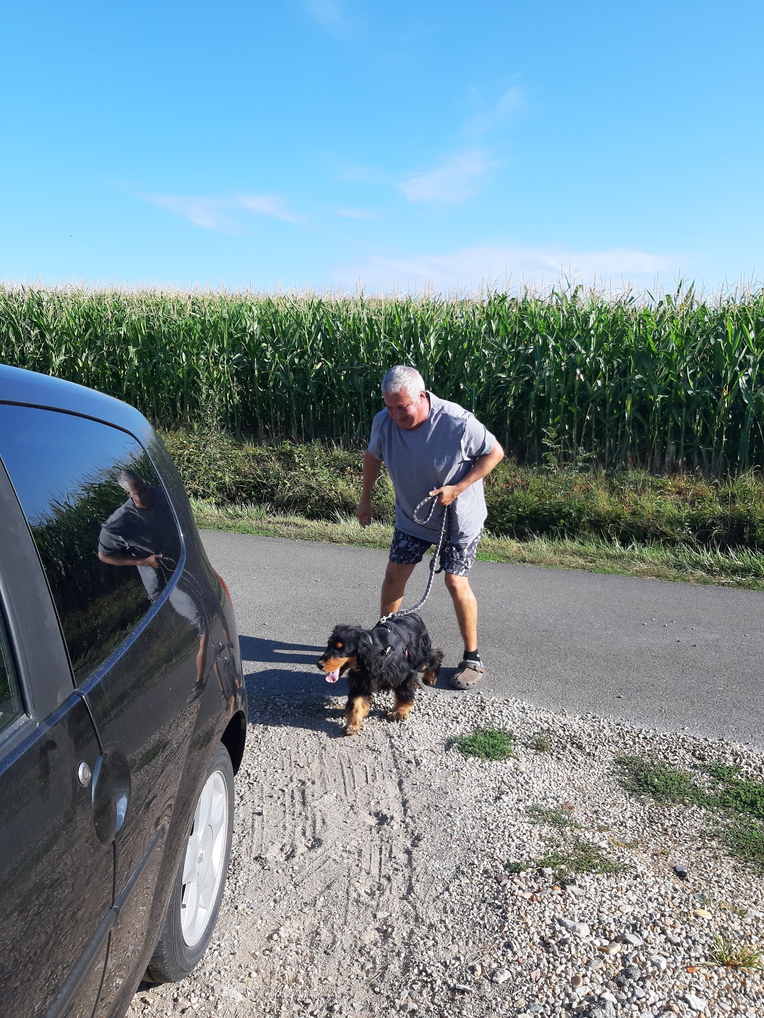 Pension de la Bresse (pension Canine) — photo