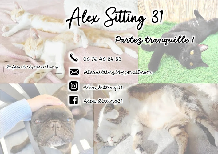 AlexSitting31