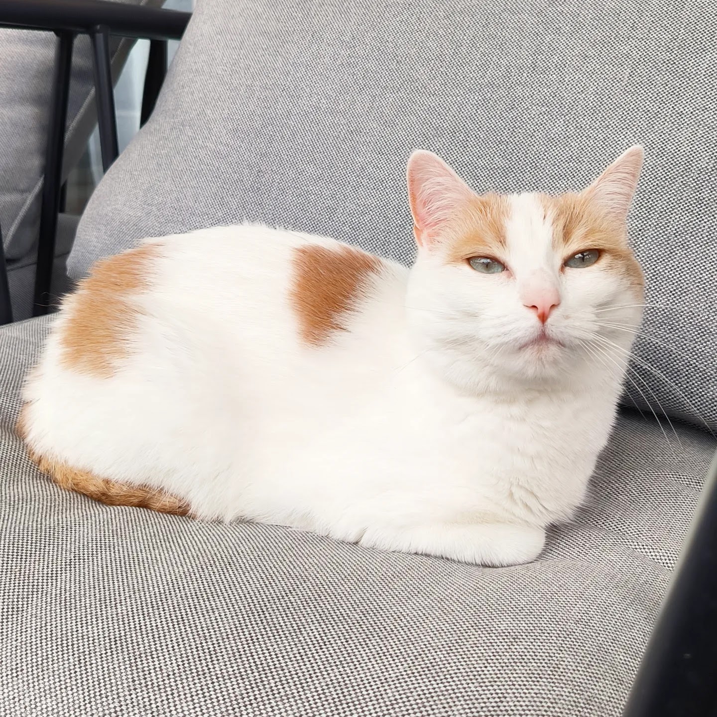 AlexSitting31 — photo