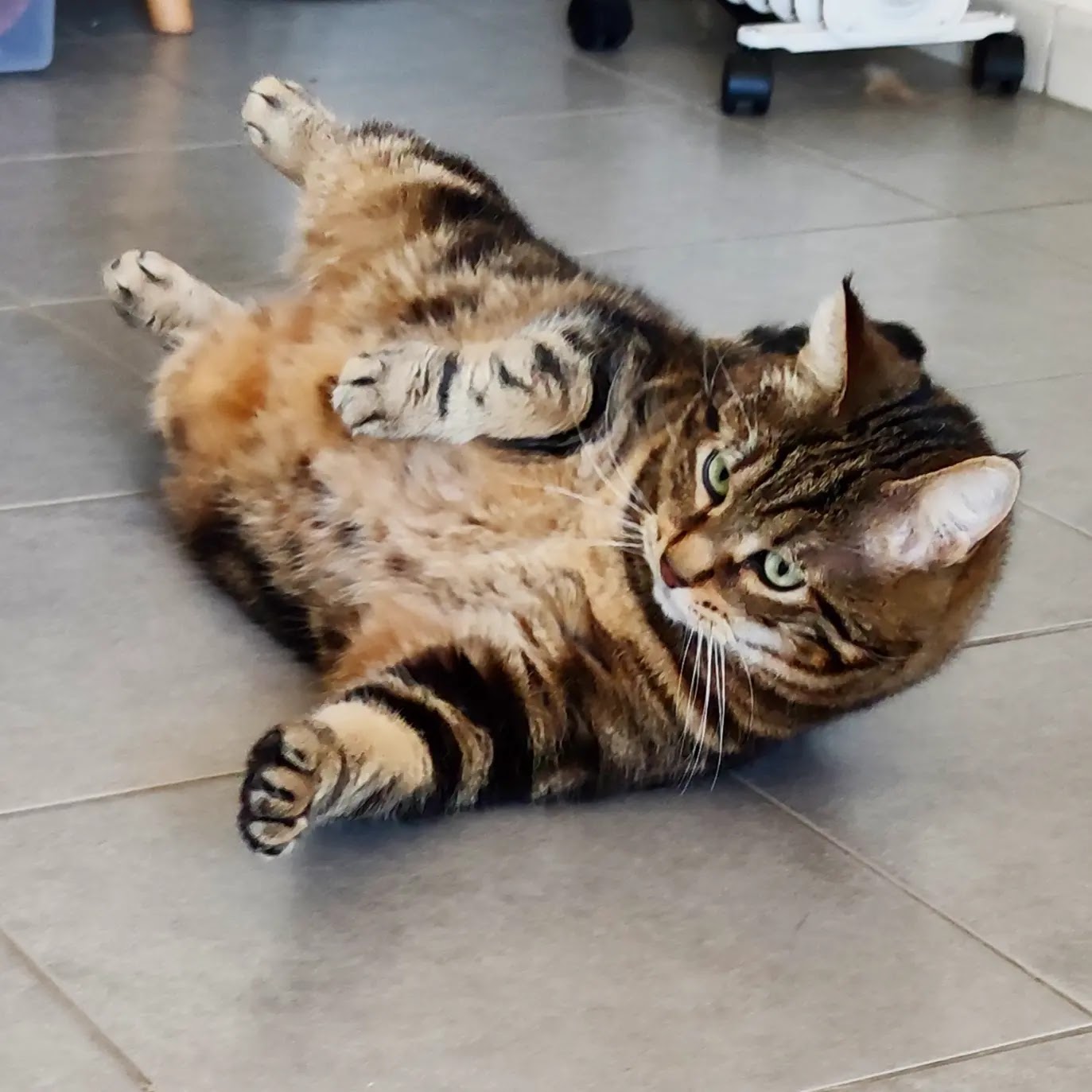 AlexSitting31 — photo