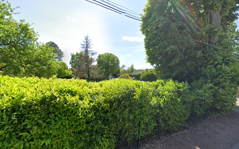 Les Cerbères d'Hadès