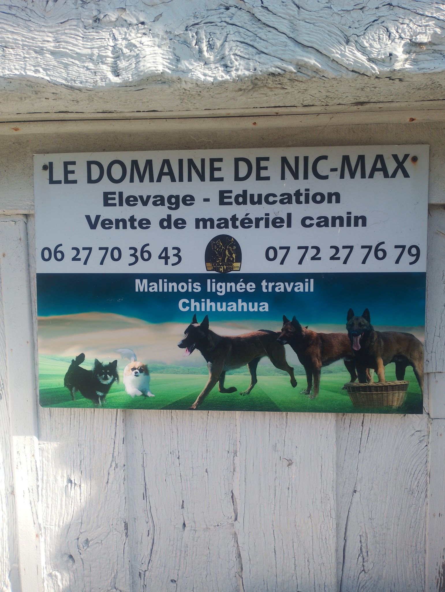 Elevage du Domaine de Nic Max — photo