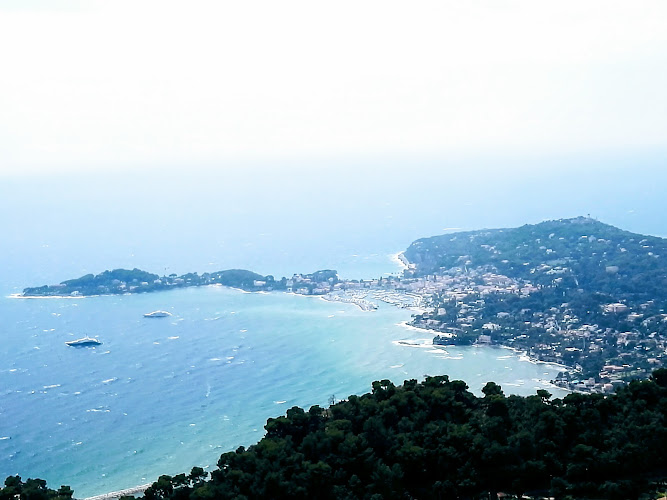 Vie de Chien