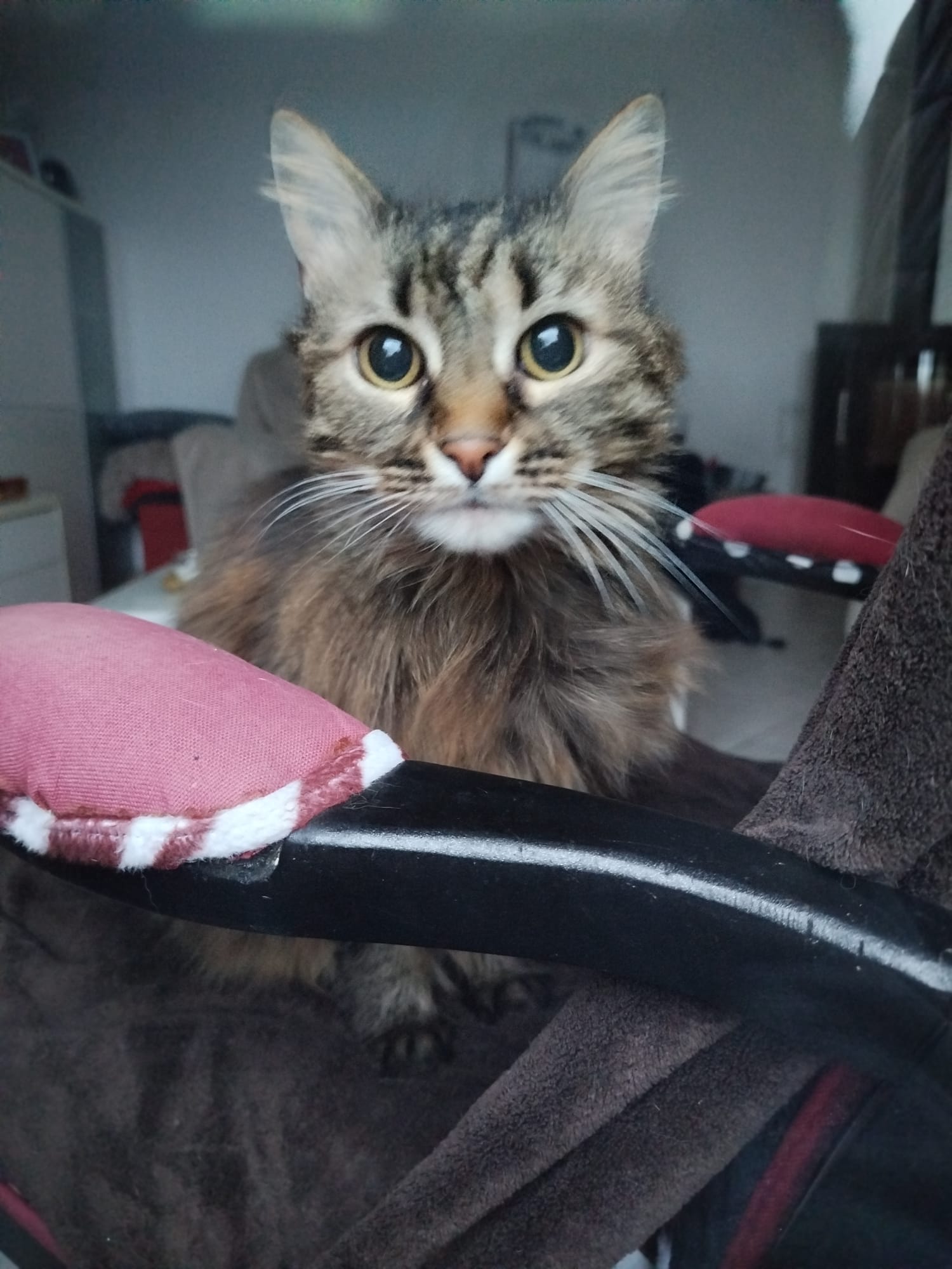 Sur un air de Balade — photo