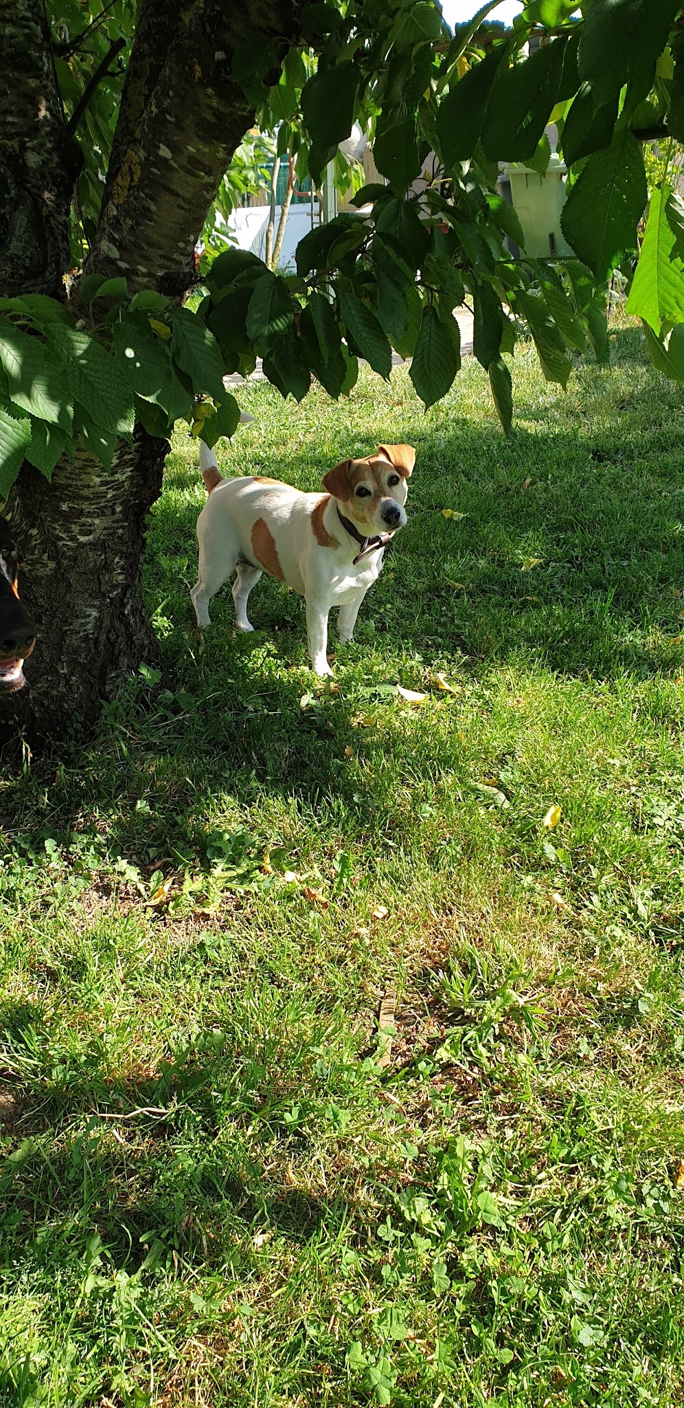 Petsitting Maze&Co — photo