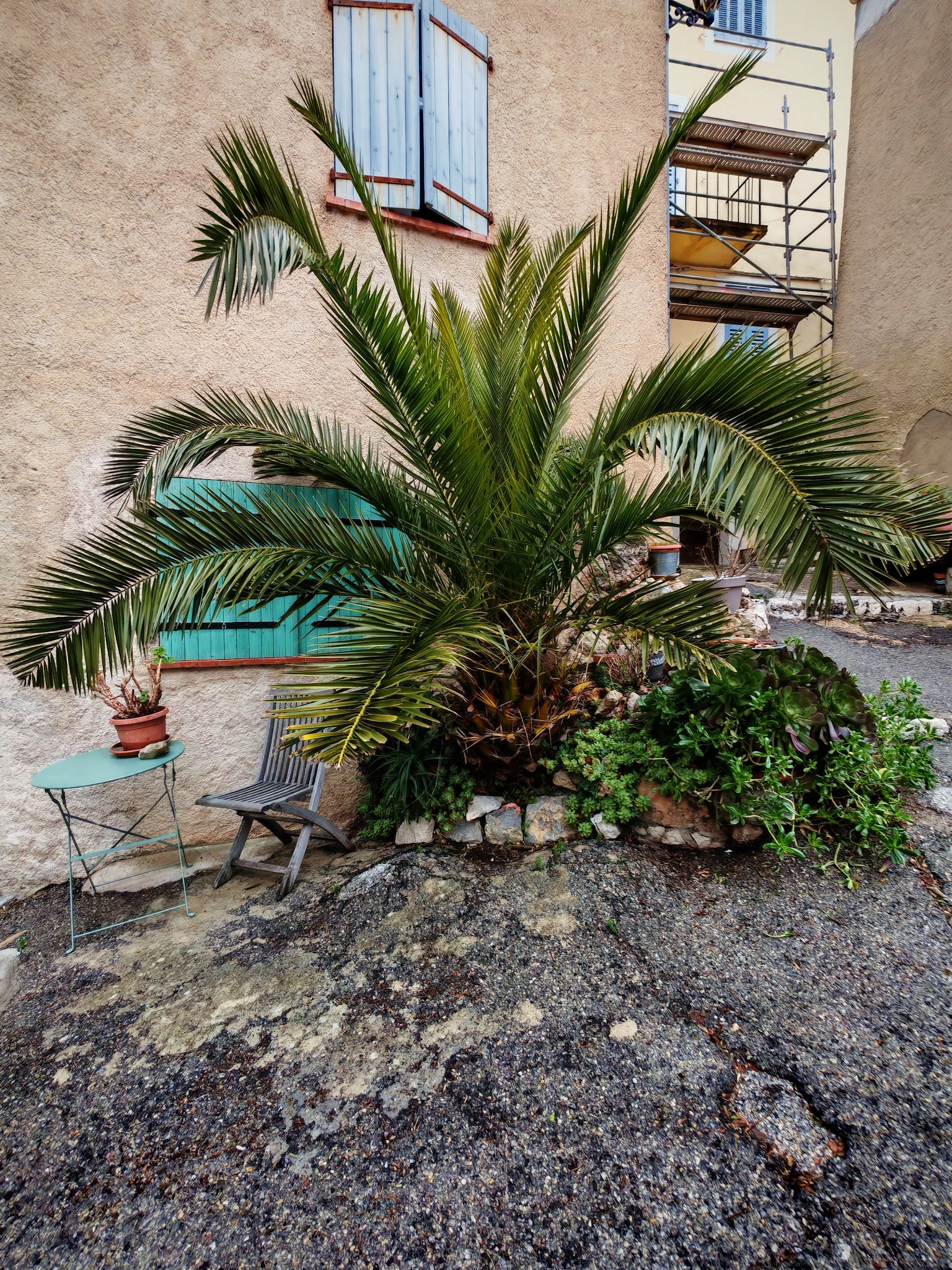HOMERING — photo