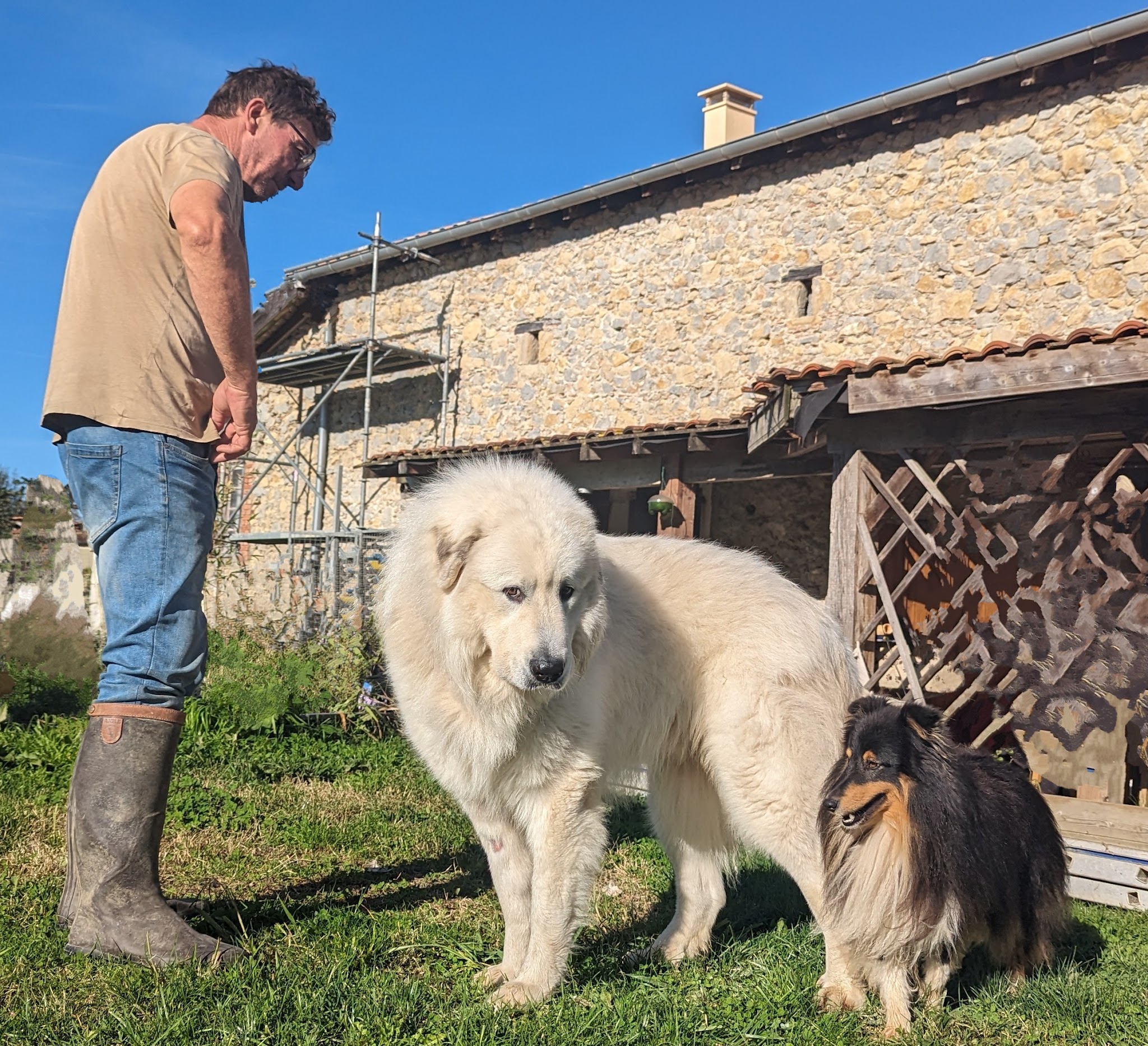 Cani-Landes Élevage Pension canine Education canine Dressage canin — photo