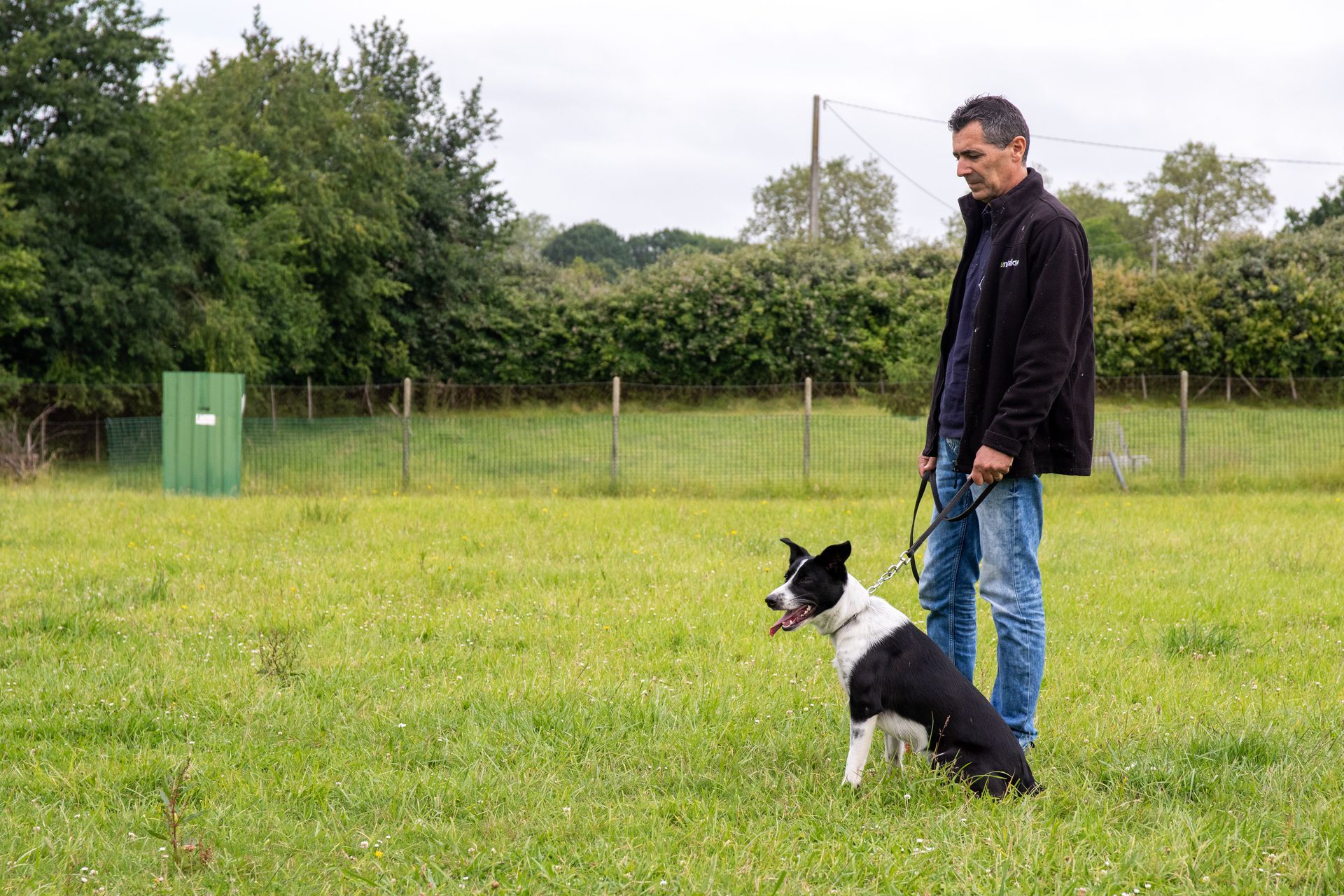 Cani-Landes Élevage Pension canine Education canine Dressage canin — photo