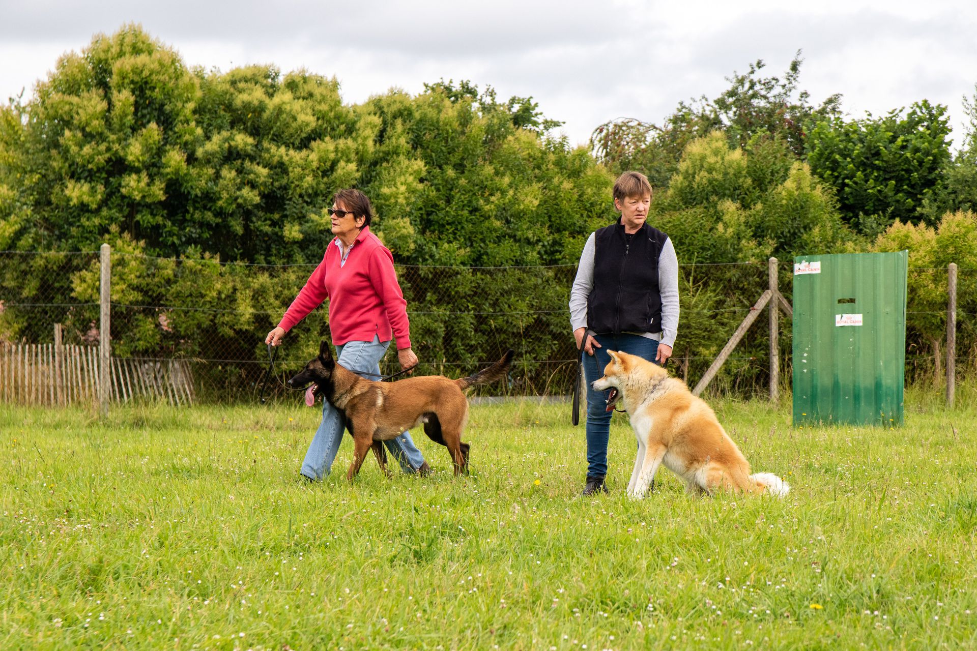 Cani-Landes Élevage Pension canine Education canine Dressage canin — photo