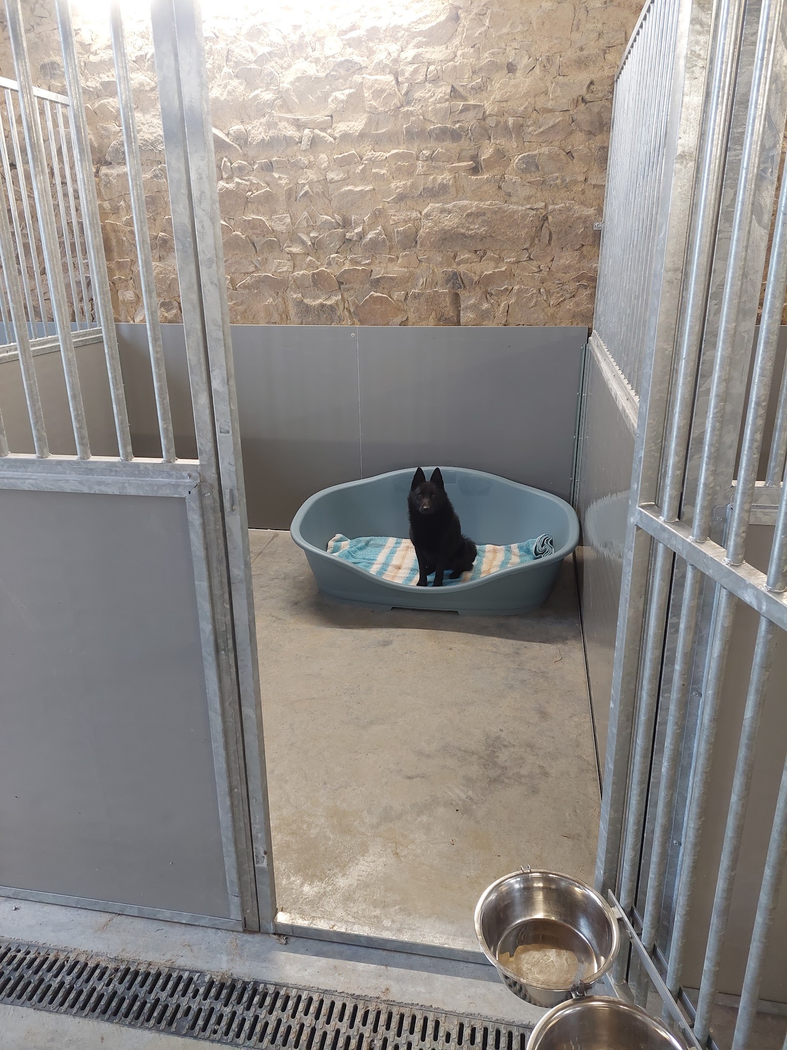 Toutou et Grosminet — photo