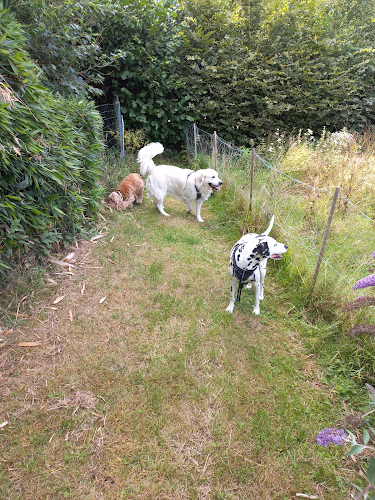 Bertrand Elineau - Comportementaliste chien, chat, cheval - Cat-sitter - Pet-sitter