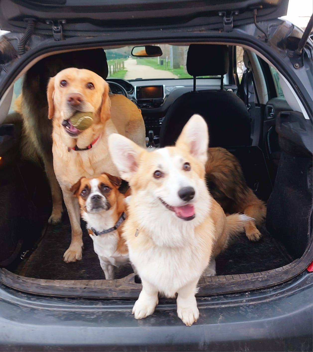 Scarlette & Friends — photo