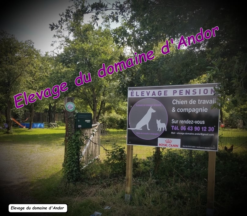 Domaine d'Andor - Élevage & Pension canine