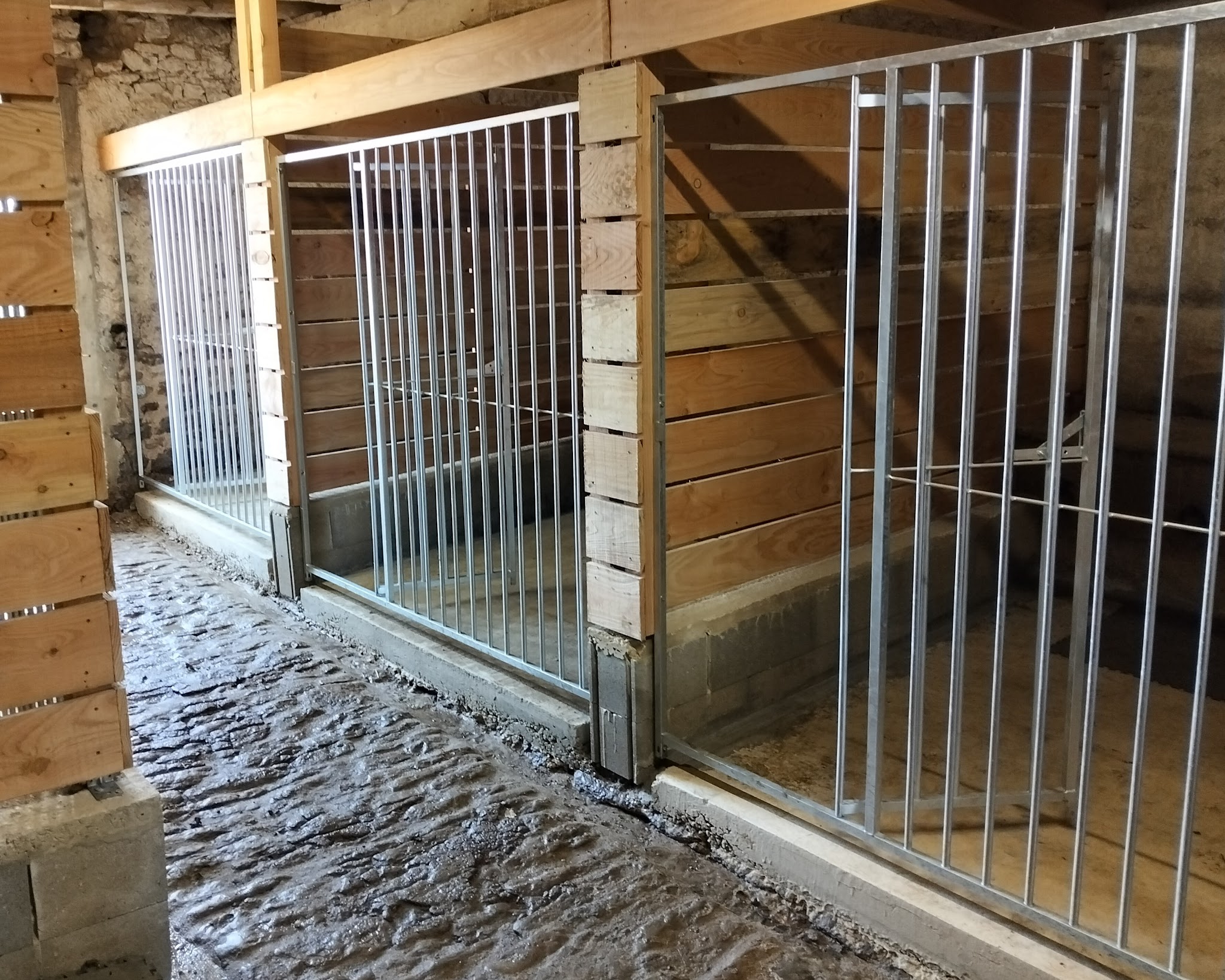 Pension canine de la Prêlée — photo
