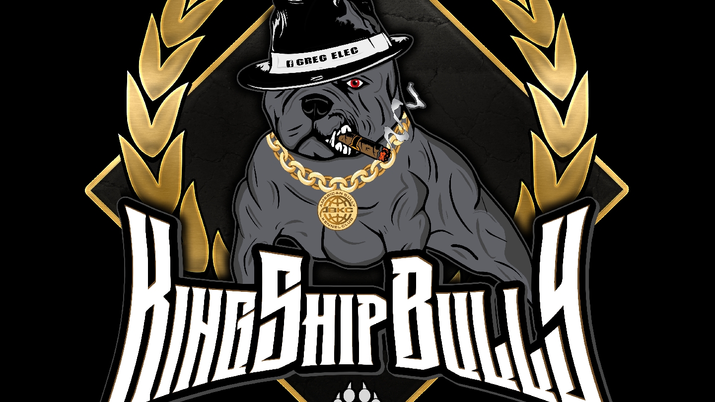 American bully — photo