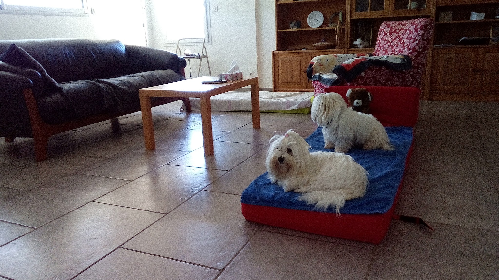 PENSION chez Gaby — photo