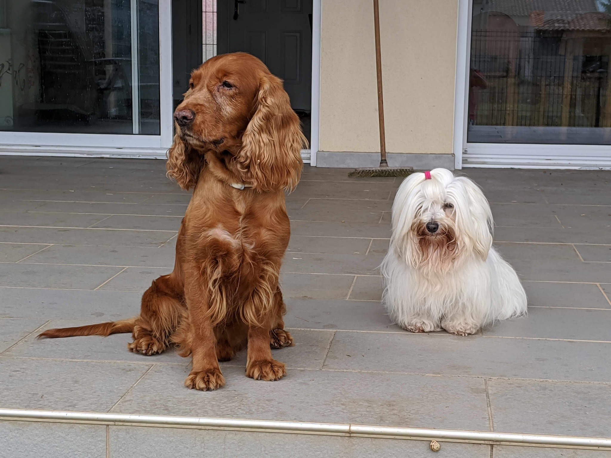 PENSION chez Gaby — photo
