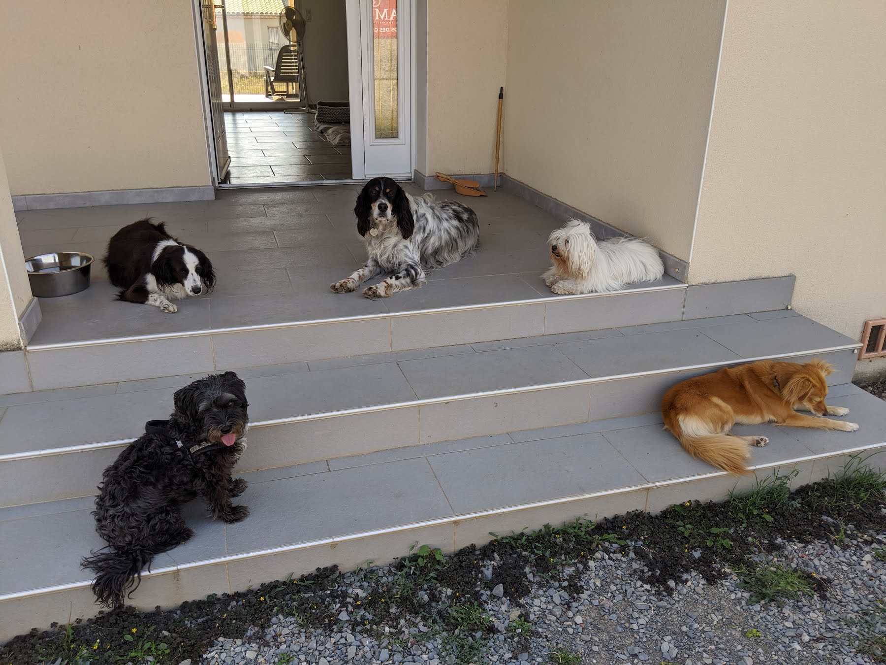 PENSION chez Gaby — photo