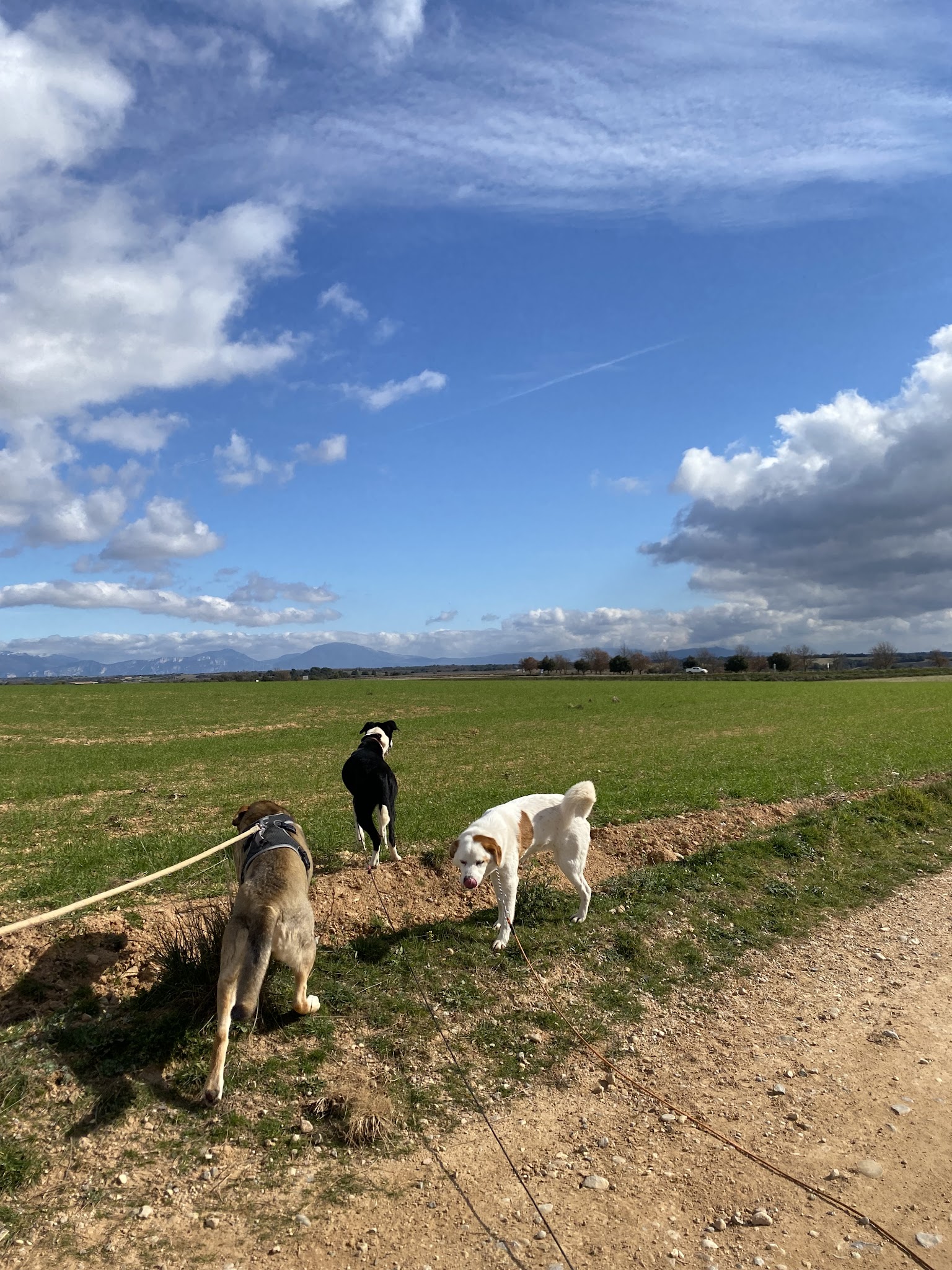Domaine Belle Terre Cent Pas — photo