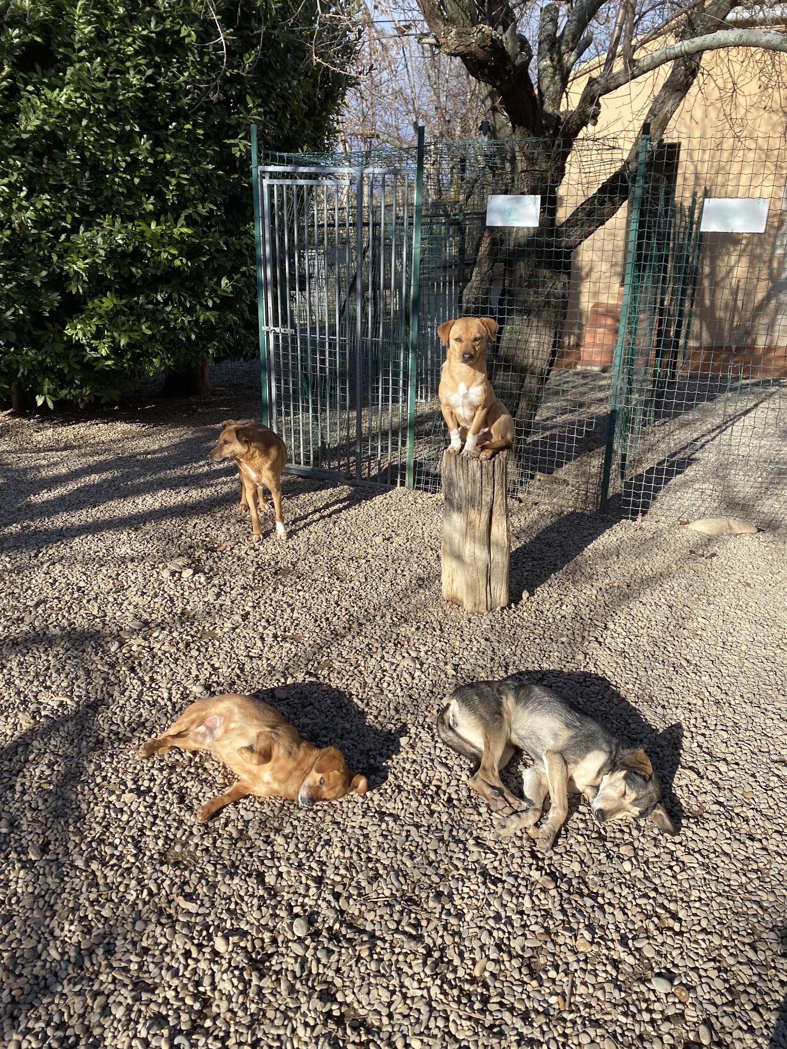 Domaine Belle Terre Cent Pas — photo