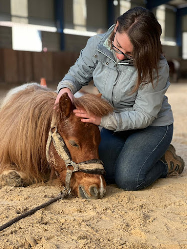 Mélyssa Cristofori - Comportementaliste animalier et pet-sitter